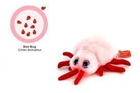 Bedbugs Are Cute Who Knew Bed Bugs Critter Plush Toy