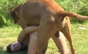 Perro Metiendole Sexo Anal A La Mexicana Hermosa