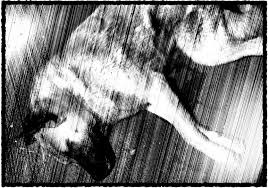 hells angels willkommen in der burg inland faz