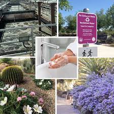 Enjoy a country feel in the city! Blog Amwua
