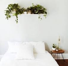 Compare prices on popular products in wall decor. Super Decor Bedroom Minimalist Plants Ideas Bedroom Plants Bedroom Plant Shelf Wall Decor Bedroom