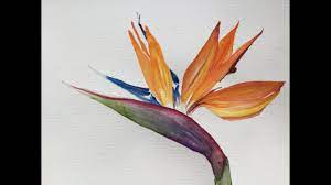 This product is offered and sold by the seller and is subject to its selling policies and shipping terms. How To Paint A Birds Of Paradise Vintage Arts By Fiurza Youtube
