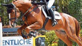 Sal (which means salt in portuguese) is now best known as one of the jewels of cabo verde. Reitsport Lastrup Eva Bitter Gewinnt Auftakt