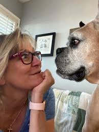 Yesterday I had to say goodbye to my sweet boy Oscar. A week before his 6th  bday. He had a rare aggressive form of cancer. He fought til the very end.  RIP