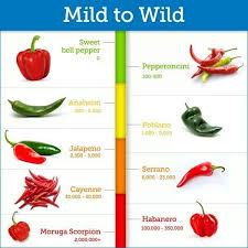 Heat Index Fresno Chili Heat Index