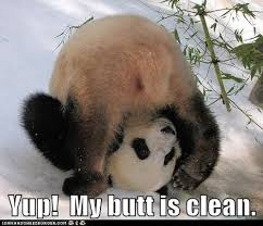 Picture gallery of animals with funny captions. Funny Husky Pictures With Captions Internets Animals Captioned Funny Animal Captions Fit For Fun