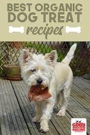 Organic Dog Treat Recipes 5 Natural Dog Treats Good Doggies Online Organic Dog Treats Organic Dog Treats Recipe Dog Treat Recipes