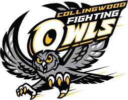 Collingwood collegiate institute is located in collingwood, ontario. Collingwood Collegiate Institute Collingwood On Canada High School Landmark Historical Place Facebook