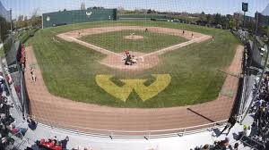 Baseball Inks Nine Newcomers for 2020