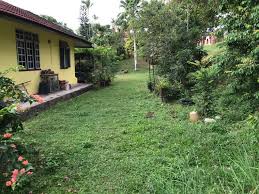Dapatkan diskon mesin potong rumput hanya di bukalapak. Potong Rumput Kat Aspa Cottage Sampai 2 Hari Laman Rumput