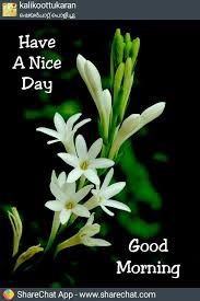 Pin By Rini Valentina On Goodmorning Good Morning Wednesday Good Morning Greetings Lovely Good Morning Images