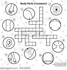 Body parts for kids coloring pages body parts coloring. Black White Body Vector Photo Free Trial Bigstock