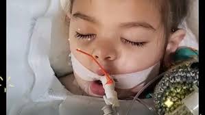 Fundraiser for Allessandra Smith by Angela Erwin : Funeral Expenses and  Bereavement Fund