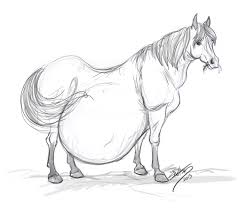 Obese Realistic Horse Sketch By Waffles85 Fur Affinity Dot Net These drawings of horse are make with great art. obese realistic horse sketch by