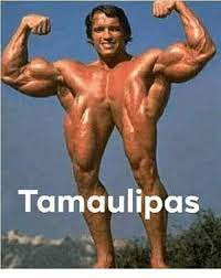 See more of memes tamaulipas on facebook. Tamaulipas Donald Trump Meme On Me Me