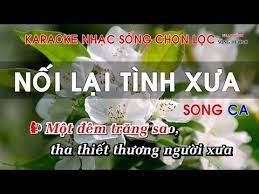 Karaoke Nhạc Sống Nối Lại Tinh Xưa Song Ca điệu Cha Cha Hay Nhất 2019 Youtube Karaoke Bai Hat Youtube