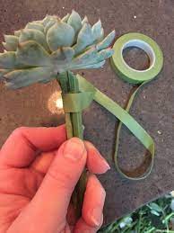 I am officially in love with paper succulents! How To Wire A Succulent For A Bouquet Real Flower Business