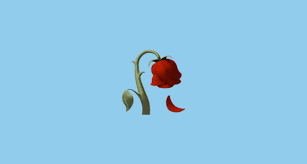 A Flower That Has Died Or Wilted Due To A Lack Of Water A Petal Falls Toward The Ground Wilt Rose Emoji Harry Potter Wallpaper Phone Wallpaper Iphone Disney