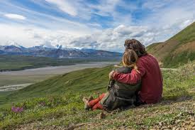 We did not find results for: Denali National Park Camping Flightseeing The Green Bus