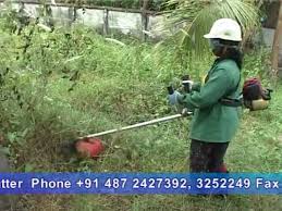 Our machine helps make your task of vegetable cutting so easy that it becomes a blast! Women Friendly Brush Cutter Champion Rbc 35 Redlands Ashlyn Motors Plc India Youtube