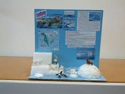 Marine Biology Science Fair Projects Ocean Habitat Project Biomes Project Homeschool Science Habitats Projects