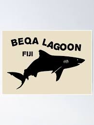 Swimming With Sharks Beqa Lagoon - Fiji - Shark Diving