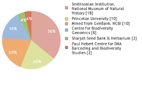 Image result for Commicarpus pedunculosus