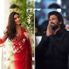 Katrina Kaif: Dussehra 2023: Katrina Kaif wishes fans dressed in red sari,  Allu Arjun shares post worshipping film equipment - The Economic Times