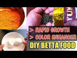 Betta Fish Food For Rapid Growth And Color Enhancer Diy Betta Fish Food With Egg And Spirulina Youtube