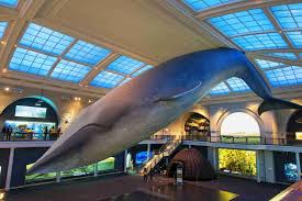 New York City Museums With Free Or Discounted Admission