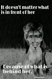  Sign In Lion Quotes Inspirational Quotes Love Quotes