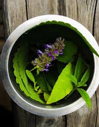 Loulougourmet Finir En Douceur Infusion Agastache Verveine