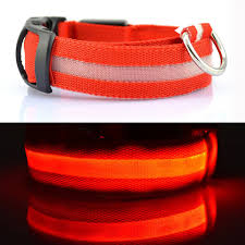 Pin On Accessories For Your Dog