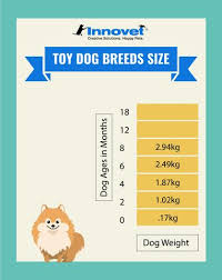 puppy development stages newborn milestones growth charts