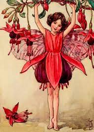 Fuchsia Fairy Vintage Cicely Mary Barker Art Print Etsy Fairy Artwork Flower Fairies Flower Drawing