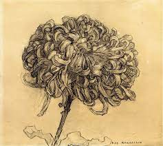 'i too find flowers beautiful in their exterior beauty; Piet Mondrian Chrysanthemum Drawings Drawing New York