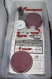 Ball Python Care And Information As Well As Community Driven Content Covering All Manner Of Reptiles Amphibians Ball Python Care Ball Python Ball Python Cage