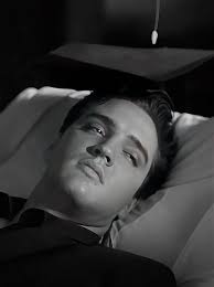 Condolences for Suzzan Parson Plumb's Passing