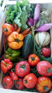 Maraichers A Gap 05000 Legumes En Vente Directe Producteur