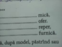 Dar stau si ma gandesc ca ea poate chiar era. Compune O Poezie Cu UrmÄƒtoarele Rime Mica Ofer Reper Furnica Brainly Ro