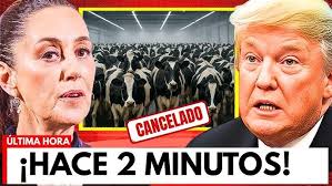 OS NOTICIAS MATUTINO