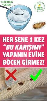 Her Sene Bu Karisimi Evinize Yapip Uygularsaniz 1 Sene Boyunca Bocekleri Evinizden Uzak Tu Natural Cleaning Solutions Natural Household Cleaner Household Hacks