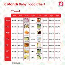 6 months baby food chart with indian recipes paperblog