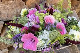 Jen Len Květ (Petrov nad Desnou), IČO 08095451, adresa a telefon • Firmy.cz