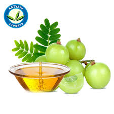 Amla oil is a great to nourish your tresses. 100 Pure Organic Indian Gooseberry Amla Oil Buy 100 Pure Organic Indian Gooseberry Amla Oil Gooseberry Oil Pure Amla Oil Product On Alibaba Com