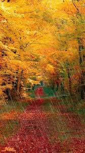 Https Encrypted Tbn0 Gstatic Com Images Q Tbn And9gcqrpjnfudhcykng1qn0vwolp6q3jv2gzfplwa Usqp Cau Galerie des nouveaux fonds d'écran mis à jour quotidiennement par les photographes passionés. 2