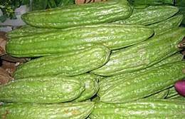 #peria_katak #kapsul_peria #khasiat_peria_katak discover exclusive deals and reviews of periakatak online! Peria Katak Wikipedia Bahasa Melayu Ensiklopedia Bebas