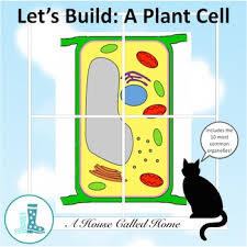 We did not find results for: Let S Build A Plant Cell By A House Called Home Tpt