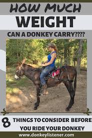 I haven't ridden her any amount of long distance yet. How Much Weight Can A Donkey Carry Riding Donkey Donkey Care Animals Donkey