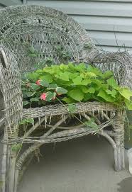Broken Down Wicker Chair Used As Planter Repurpose Old Wicker Chairs Painted Wicker Wicker Headboard